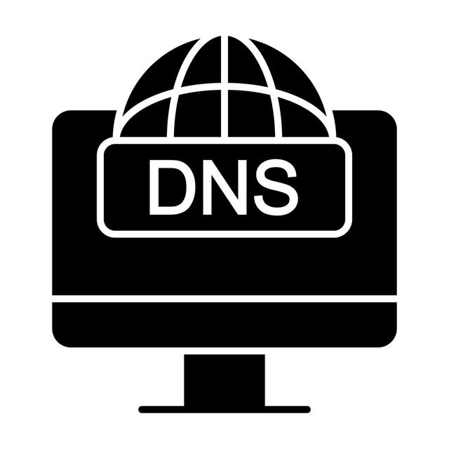 DNS服务器