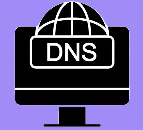 DNS服务器