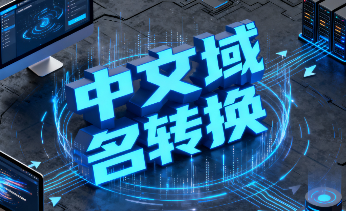 中文域名转换